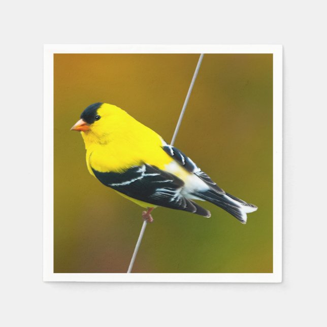 American Goldfinch - Original Photograph Napkin (Front)