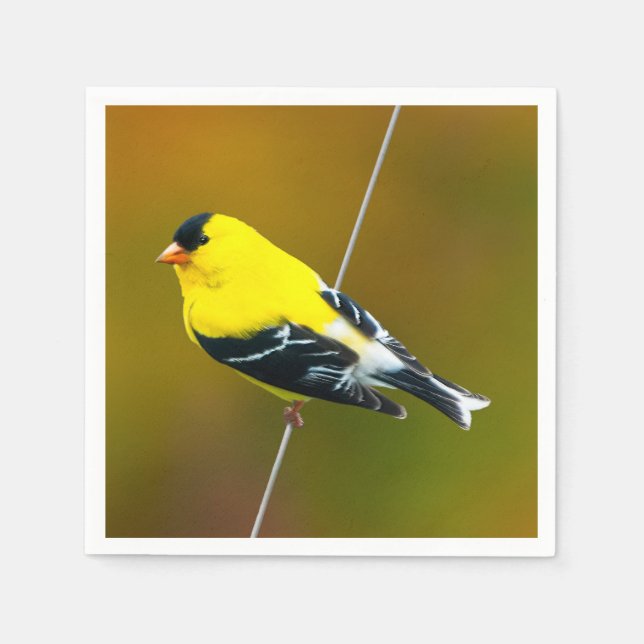 American Goldfinch - Original Photograph Napkin (Front)