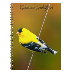 American Goldfinch - Original Photograph Notebook