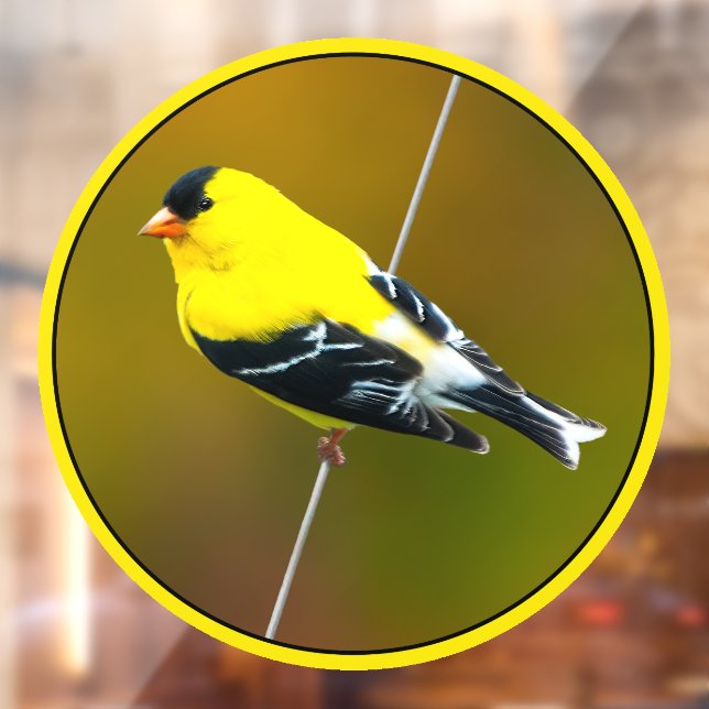 American Goldfinch - Original Photograph Window Cling (Sheet 2)