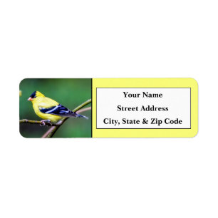 American Goldfinch Return Address Labels