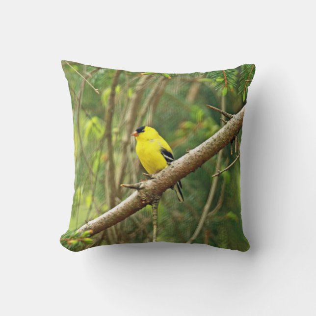 American Goldfinch Songbird - Spinus tristis Cushion (Front)