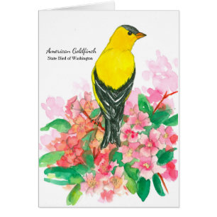 American Goldfinch Washington State Bird Blank