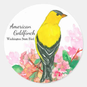 American Goldfinch Washington State Bird Yellow Classic Round Sticker