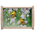 American Goldfinches and Pink Apple Blossoms