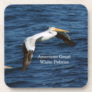 American Great White Pelican 6 plastic coasters
