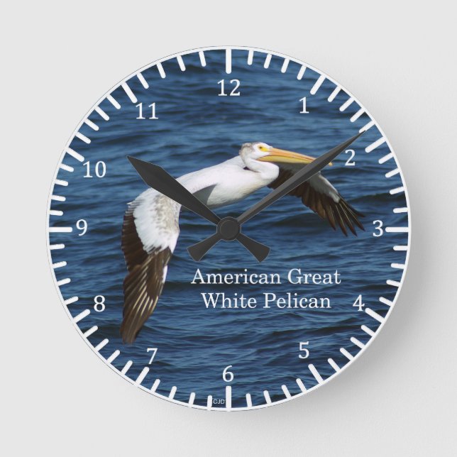 American Great White Pelican clock (Front)