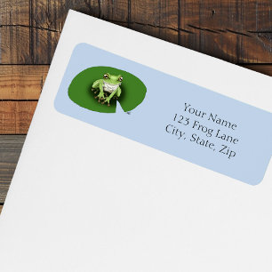 American Green Tree Frog Lily Pad