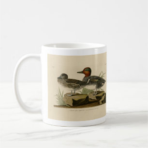 American Green winged Teal from Audubon's Bird Coffee Mug