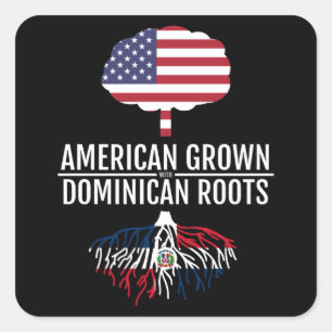 American Grown Dominican Roots National Flag Square Sticker
