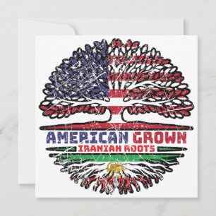 American Grown Iranian Roots – Lion and Sun