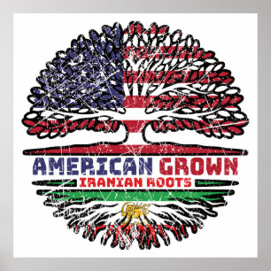American Grown Iranian Roots – Lion and Sun Poster