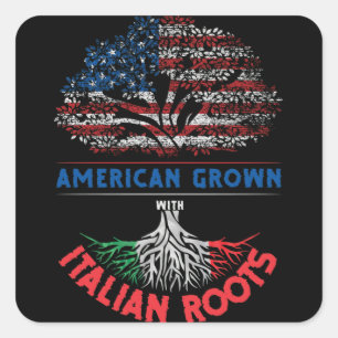 American Grown  Italian Roots USA Flag Venezuela Square Sticker