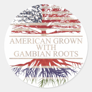 American grown with gambian roots classic round sticker