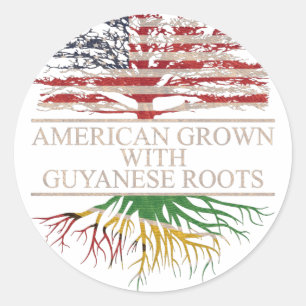 American grown with guyanese roots classic round sticker