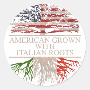 American grown with italian roots classic round sticker