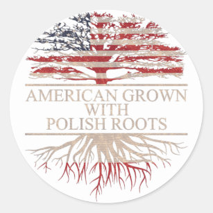 American grown with polish roots classic round sticker
