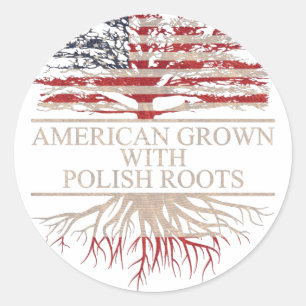 American grown with polish roots classic round sticker