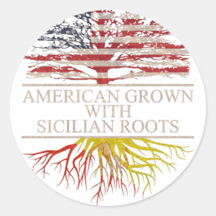 American grown with sicilian roots classic round sticker