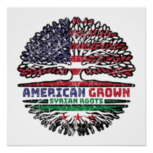 American Grown With Syrian Roots Poster