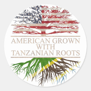 American grown with tanzanian roots classic round sticker