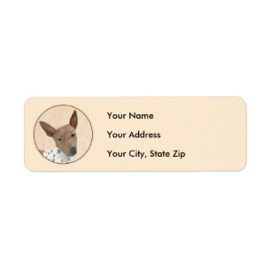 American Hairless Terrier Painting - Dog Art