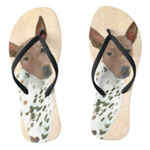 American Hairless Terrier Painting - Dog Art Flip Flops