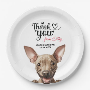American Hairless Terrier Paper Plate