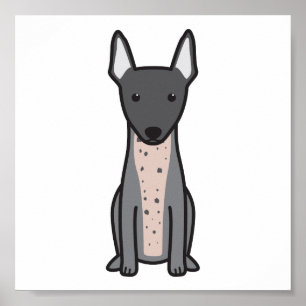 American Hairless Terrier Poster