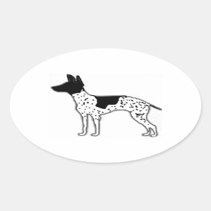 american hairless terrier silo colour oval sticker