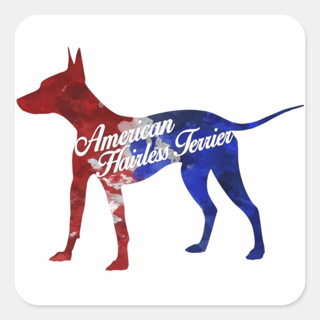 American Hairless Terrier Stickers (Front)