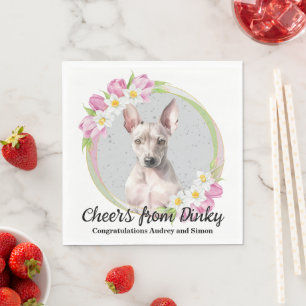 American Hairless Terrier Wedding Dog Photo Napkin