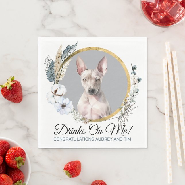 American Hairless Terrier Wedding Napkins With Dog (Insitu)