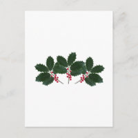American Holly Leaves - Berries