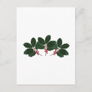 American Holly Leaves - Berries Postcard