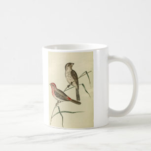 American House Finch Coffee Mug