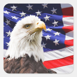 american independence stickers