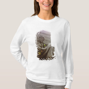 American Indian National Museum Statue T-Shirt