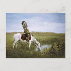 American Indian Postcard