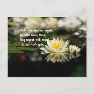 American Indian proverb,respect Postcard