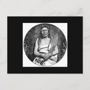 American Indians Postcard