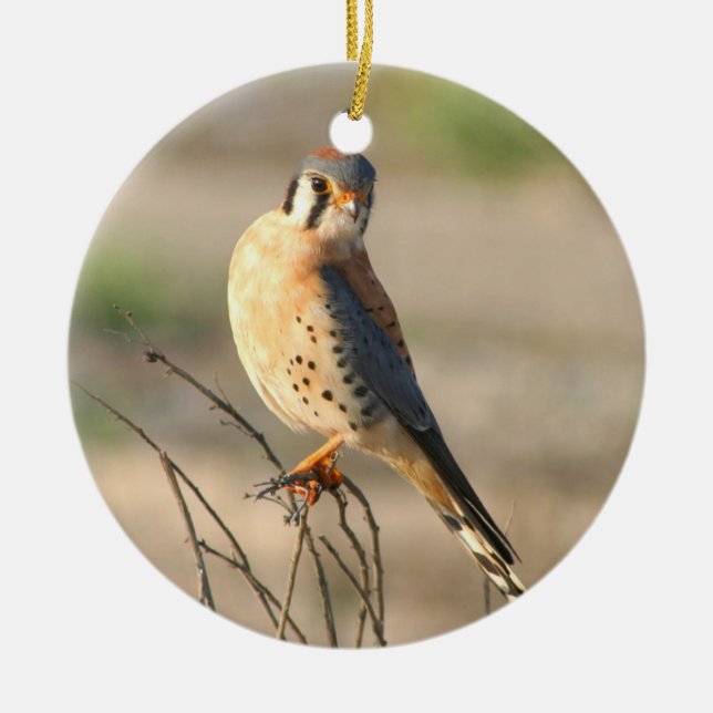 American Kestel Ceramic Tree Decoration (Front)