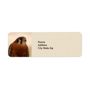 American Kestrel 3153 Label