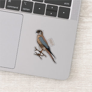 American kestrel bird cartoon illustration 