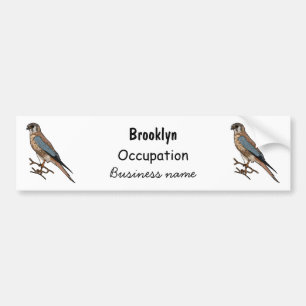 American kestrel bird cartoon illustration bumper sticker