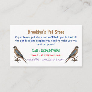 American kestrel bird cartoon illustration business card
