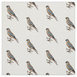 American kestrel bird cartoon illustration  fabric