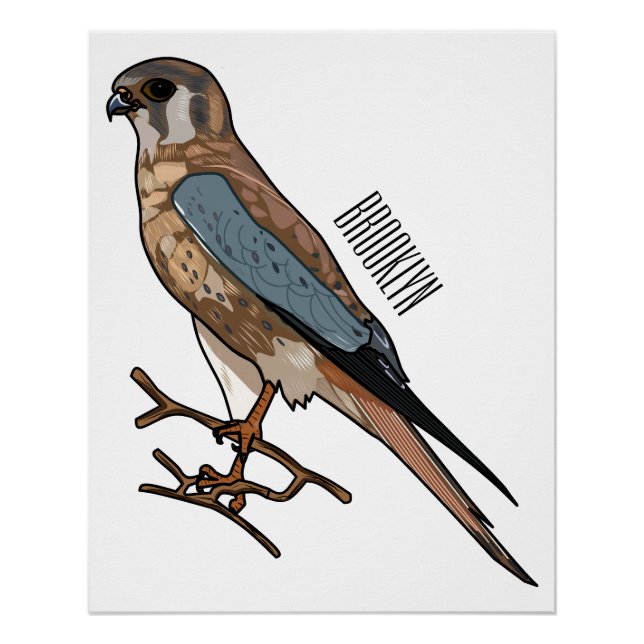 American kestrel bird cartoon illustration  poster (Front)
