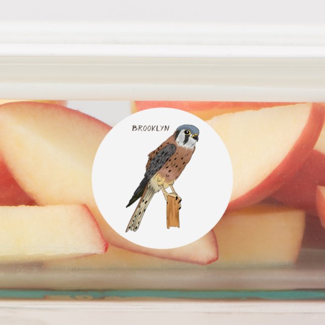 American Kestrel bird illustration (Affixed)