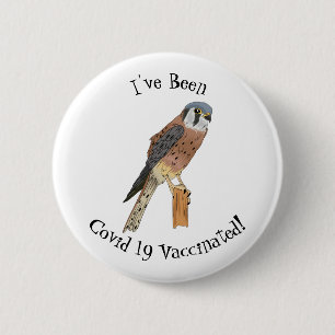 American Kestrel bird illustration 6 Cm Round Badge